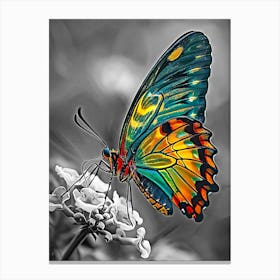 Butterfly on flower Canvas Print