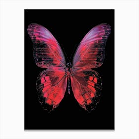 Butterfly On Black Background 2 Canvas Print