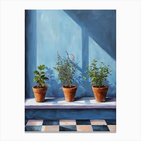 Potted Herbs On A Blue Checkered Windowsil 2 Canvas Print