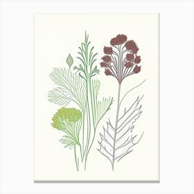 Celery Seeds Spices And Herbs Minimal Line Drawing 2 Canvas Print