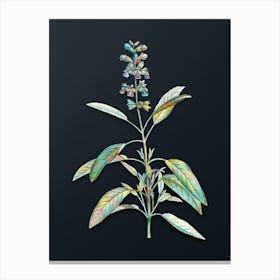 Vintage Sage Plant Botanical Watercolor Illustration on Dark Teal Blue n.0733 Canvas Print