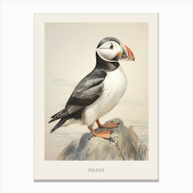 Vintage Bird Drawing Pigeon 5 Poster Canvas Print