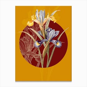Vintage Botanical Spanish Iris Iris xiphium on Circle Red on Yellow n.0090 Canvas Print