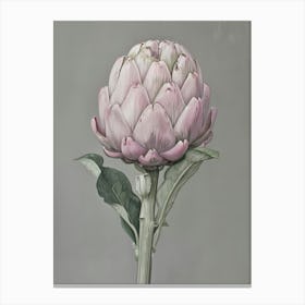 Artichoke 2 Canvas Print