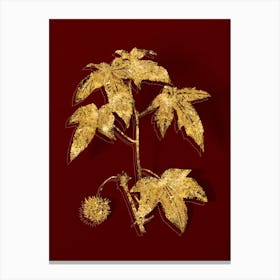 Vintage American Sweetgum Botanical in Gold on Red Canvas Print