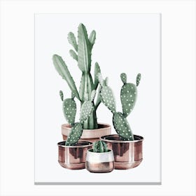 Watercolor Cactus In Rose Gold Pots Canvas Print