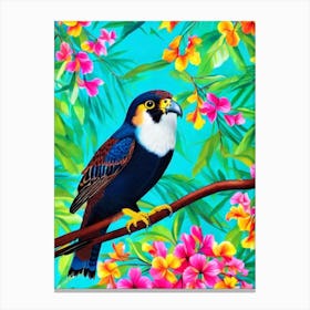 Falcon Tropical bird Canvas Print