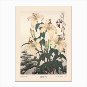 Himeyuri Okinawan Lily 3 Vintage Japanese Botanical Poster Canvas Print