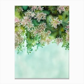 Acropora Tenella Iiii Storybook Watercolour Canvas Print