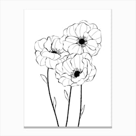 Poppy Flowers Canvas Print