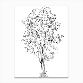 Tree Drawing Canvas Print
