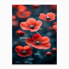 Red Poppy Flowers Canvas Print