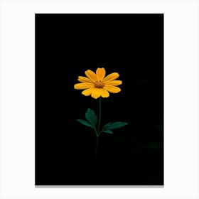 Single Yellow Flower 11 Canvas Print