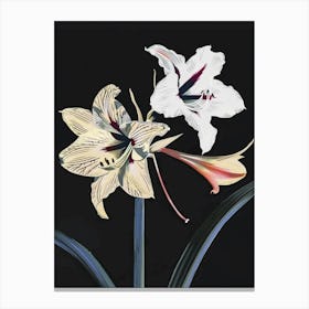 Neon Flowers On Black Amaryllis 1 Canvas Print
