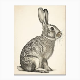American Sable Black Blockprint Rabbit Illustration 3 Canvas Print