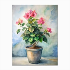 Watercolor Of Bougainvillea Canvas Print