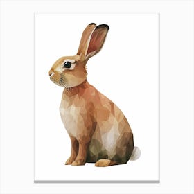 New Zealand Rabbit Kids Illustration 1 Canvas Print