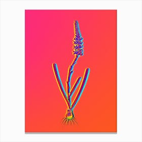 Neon Ixia Cepacea Botanical in Hot Pink and Electric Blue n.0093 Canvas Print