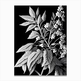 Spirea Leaf Linocut 2 Canvas Print