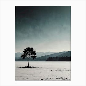 Lone Tree In The Snow Canvas Print