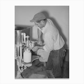 Member Of The Arizona Part Time Farms, Chandler Unit, Filling Milk Bottles In The Dairy Of The Farm, Maricopa County Canvas Print