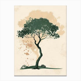 Acacia Tree Minimal Japandi Illustration 2 Canvas Print