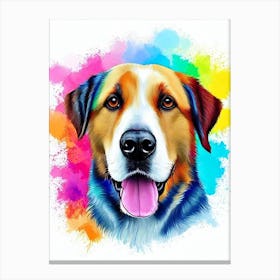 Anatolian Shepherd Dog Rainbow Oil Painting dog Canvas Print