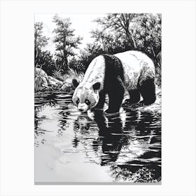 Giant Panda Drinking From A Tranquil Lake Ink Illustration 2 Canvas Print