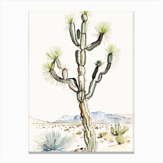 Joshua Tree By Desert Spring Minimilist Watercolour  (1) Canvas Print