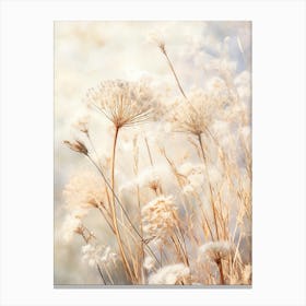 Boho Dried Flowers Queen Annes Lace 12 Canvas Print
