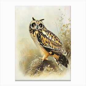 Short Eared Owl Vintage Illustration 2 Canvas Print