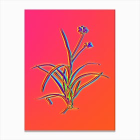 Neon Spiderwort Botanical in Hot Pink and Electric Blue n.0458 Canvas Print