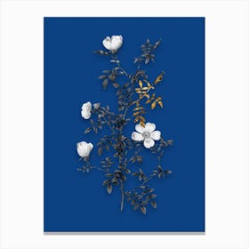 Vintage Hedge Rose Black and White Gold Leaf Floral Art on Midnight Blue Canvas Print