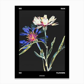 No Rain No Flowers Poster Cornflower 3 Canvas Print