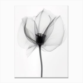 X Ray Flower 4 Canvas Print