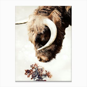 Highland Bull Canvas Print