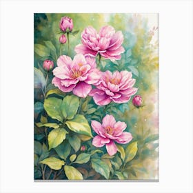 Pink Peonies 1 Canvas Print