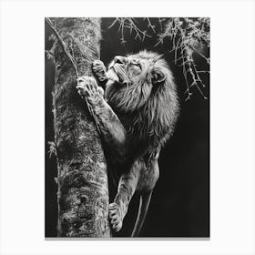African Lion Charcoal Drawing Climbing A Tree 1 Canvas Print