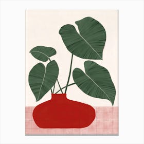 Plant In A Red Vase Canvas Print