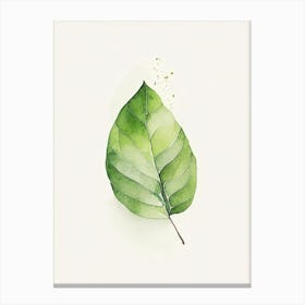Avocado Leaf Minimalist Watercolour Canvas Print