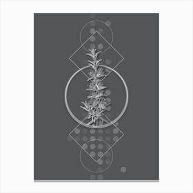 Vintage Rosemary Botanical with Line Motif and Dot Pattern in Ghost Gray n.0068 Canvas Print