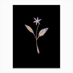 Stained Glass Erythronium Mosaic Botanical Illustration on Black n.0360 Canvas Print