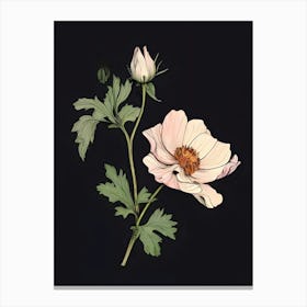 Anemone Canvas Print