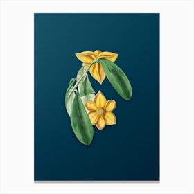 Vintage Laurel Leaved Custard Apple Branch Botanical Art on Teal Blue n.0265 Canvas Print