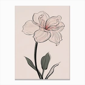 Daffodils Line Art Flowers Illustration Neutral 20 Canvas Print