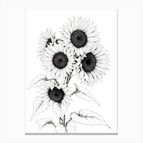 Sunflowers 2 Canvas Print