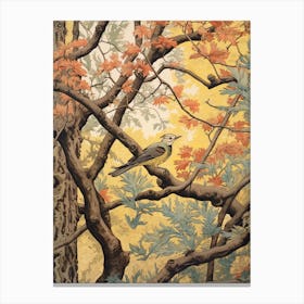 Winged Elm 3 Vintage Autumn Tree Print  Canvas Print