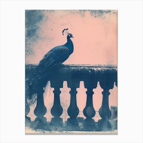 Cyanotype Inspired Peacock Resting On A Handrail 3 Canvas Print