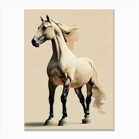 Beautiful Horse Canvas Print