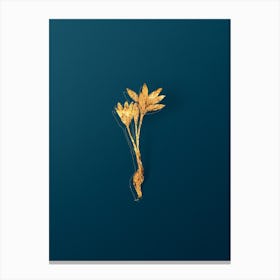 Vintage Autumn Crocus Botanical in Gold on Teal Blue n.0065 Canvas Print